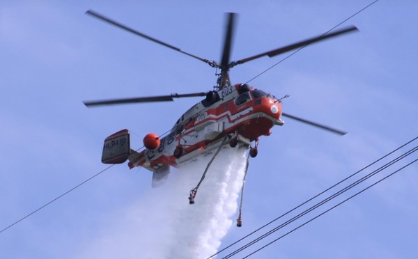 사진출처 산림청 블로그