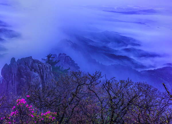 사진제공 대구 동구청